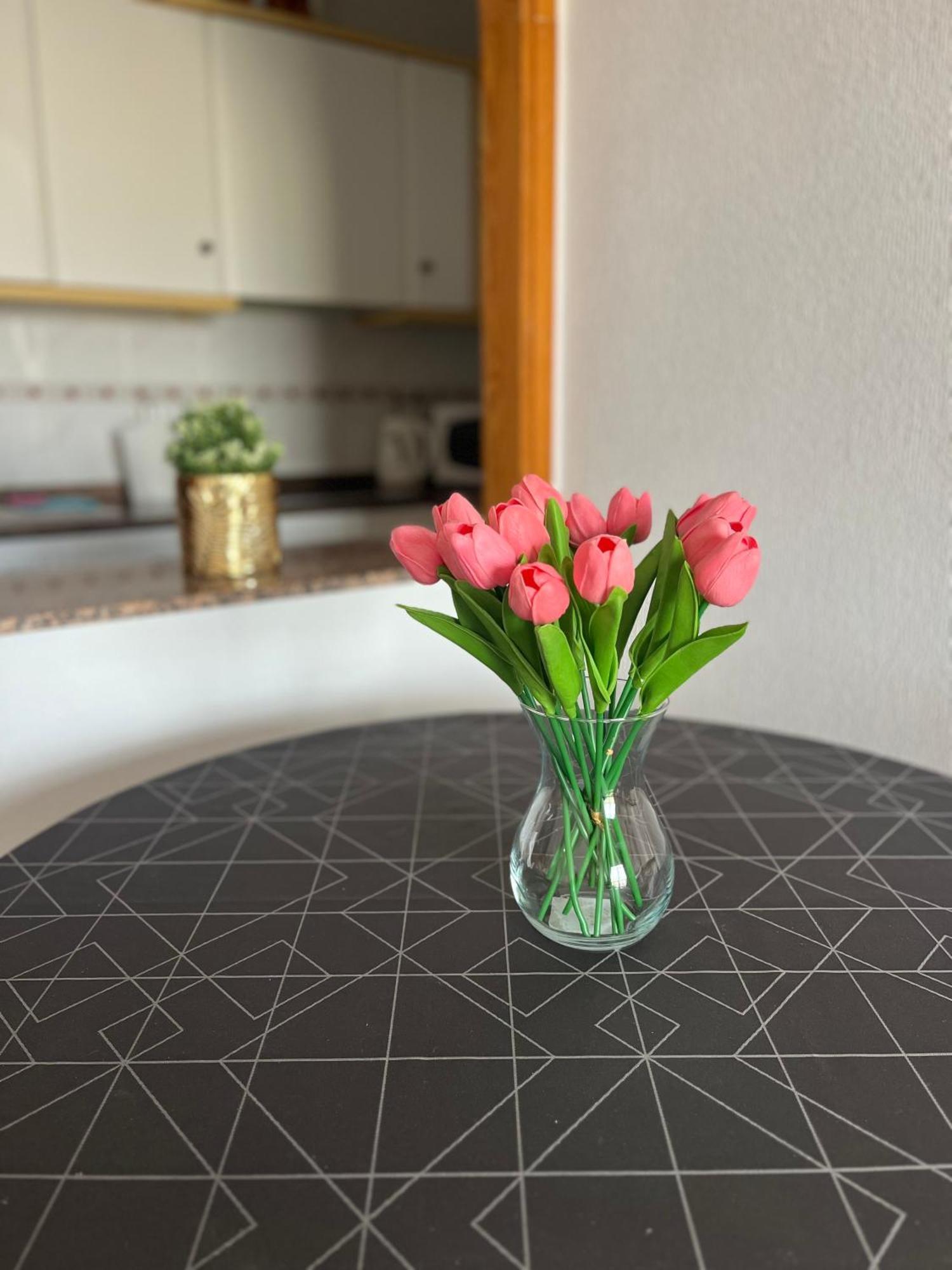 Sea Viev La Mata Apartment ตอร์เรเวียคา ภายนอก รูปภาพ