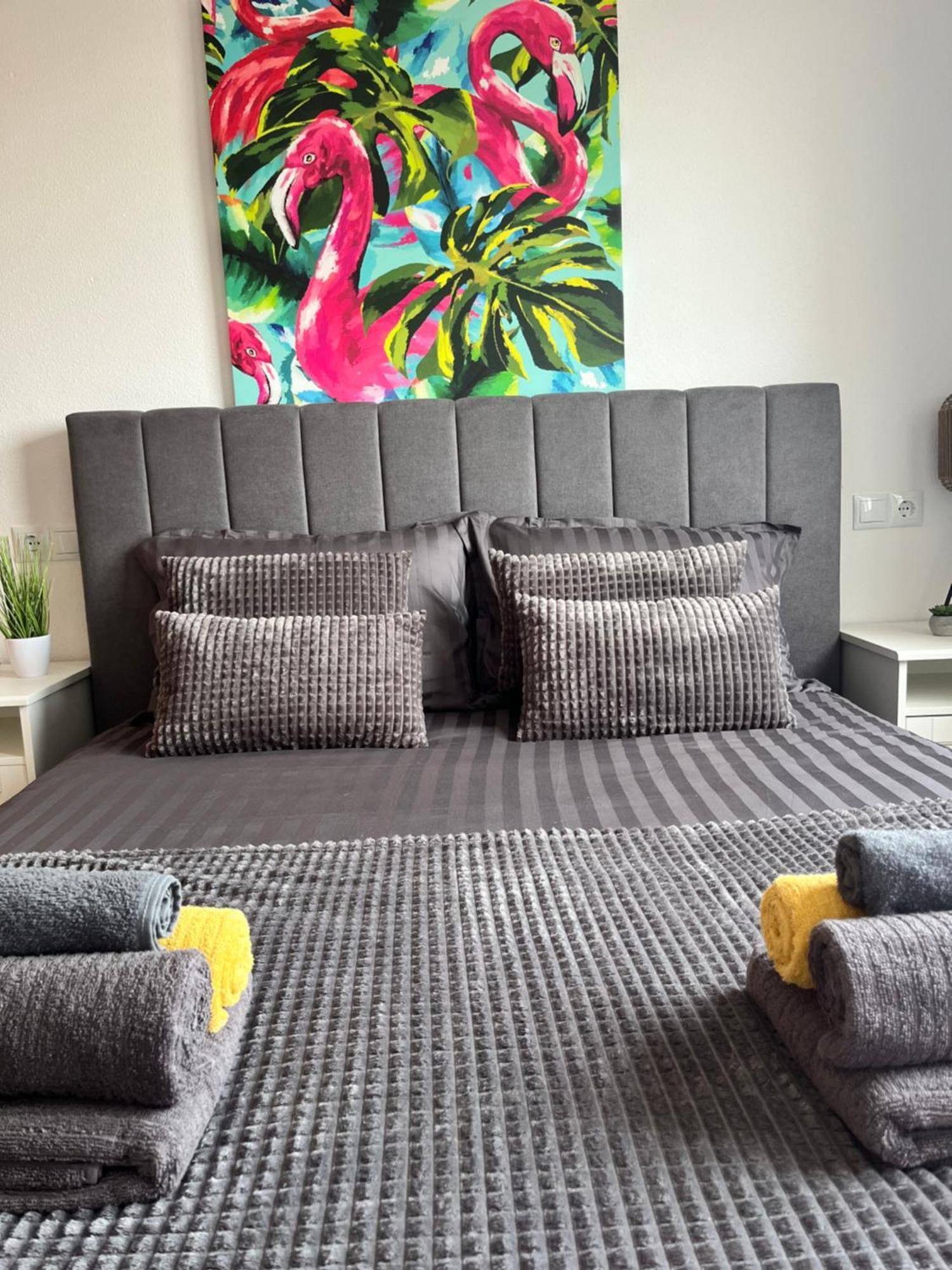 Sea Viev La Mata Apartment ตอร์เรเวียคา ภายนอก รูปภาพ