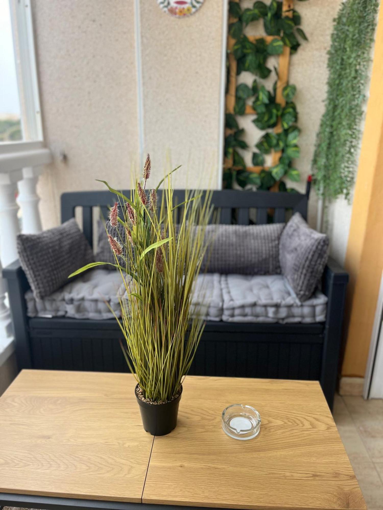 Sea Viev La Mata Apartment ตอร์เรเวียคา ภายนอก รูปภาพ